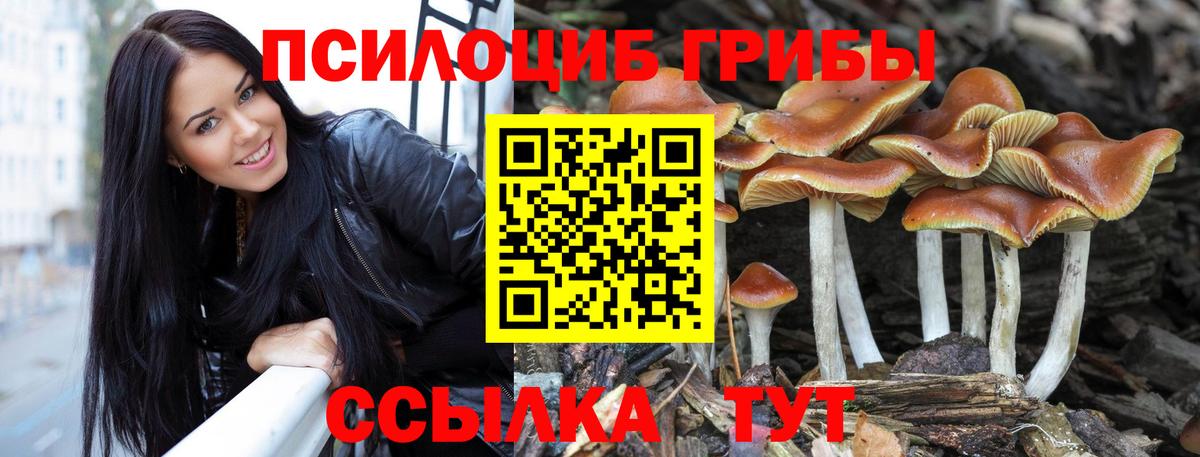 Галлюциногенные грибы мицелий  Вход с VPN  Славянск-на-Кубани 