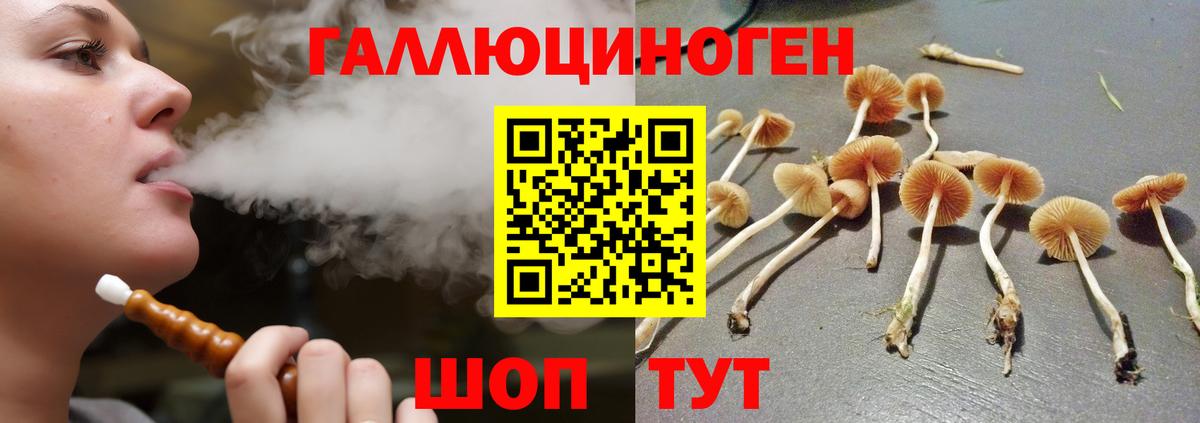 Псилоцибиновые грибы Magic Shrooms Славянск-на-Кубани